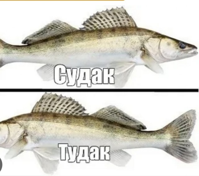 Крым 2024 (Судак)