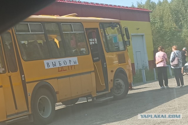 Сходил на выборы