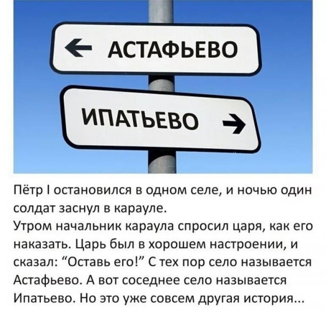 В ЖК «Остафьево» местные жители за свой счет посадили кустарники