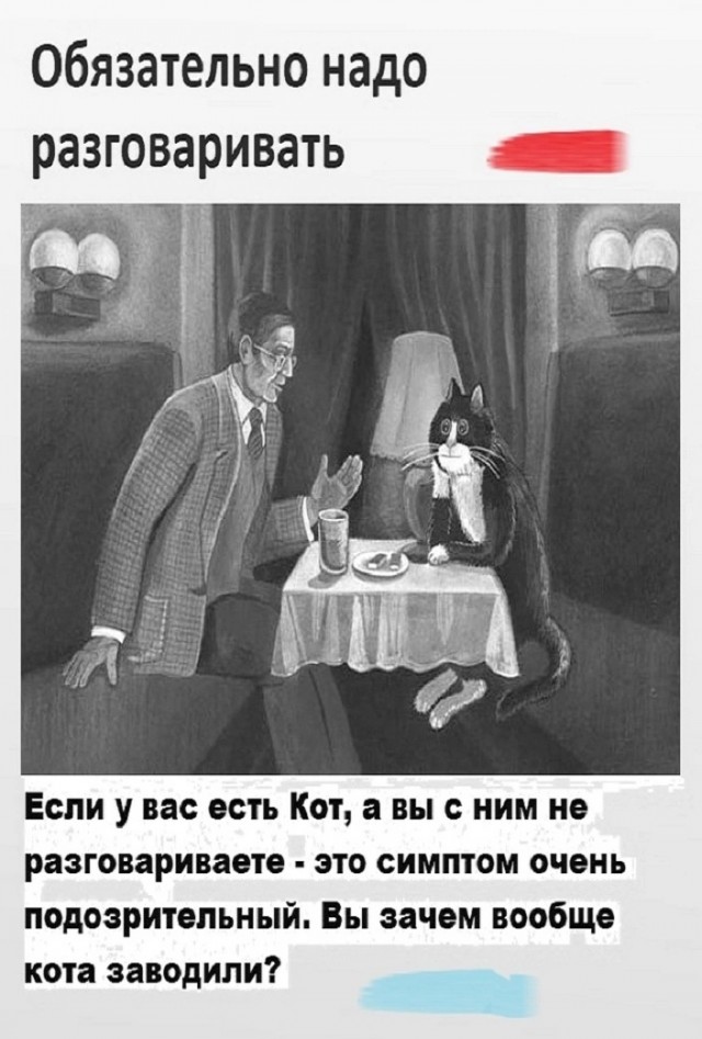 Так себе картинки 13.06.25