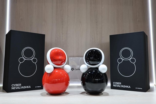 На ПМЭФ-2025 представили КиберНеваляшку