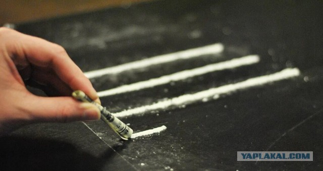 В Петербурге муниципал искал «закладки»