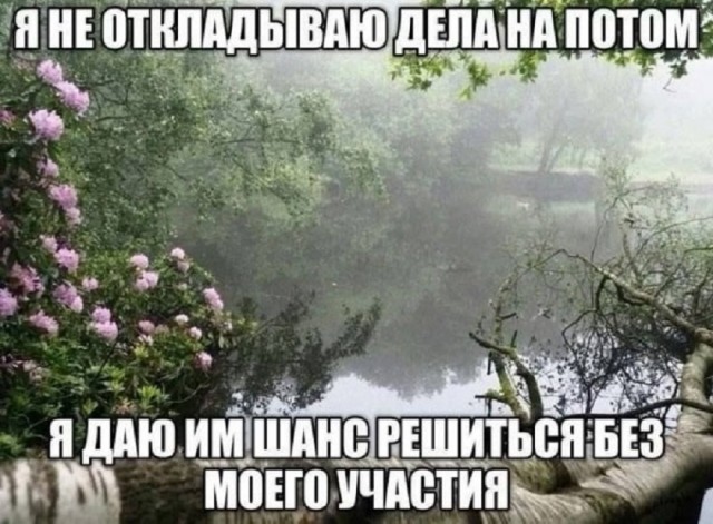 Так себе картинки 22.07.25
