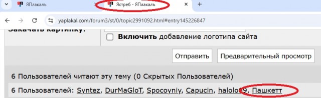 Ястреб