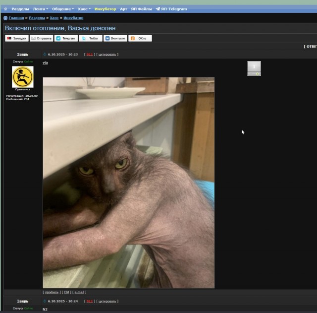 Включил отопление, Васька доволен