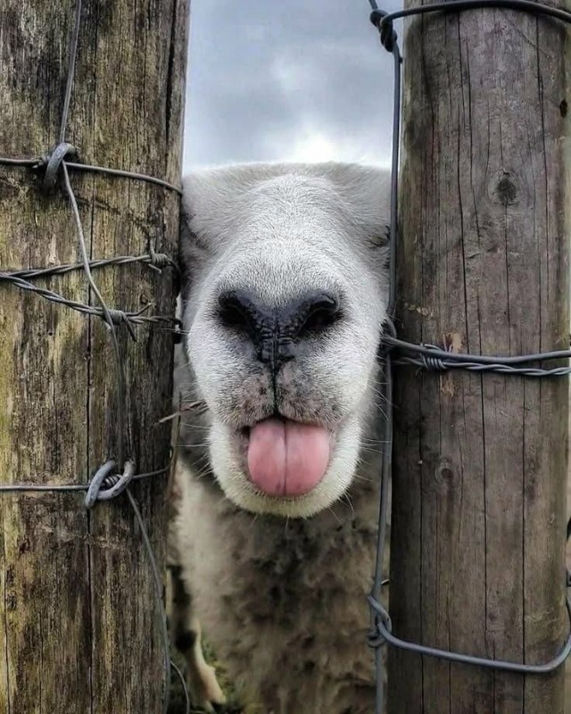 Картинки 28.10.25