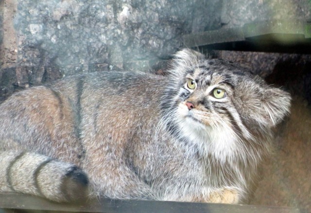 А теперь хорошие новости