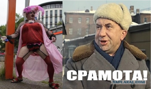 Чья соседка?