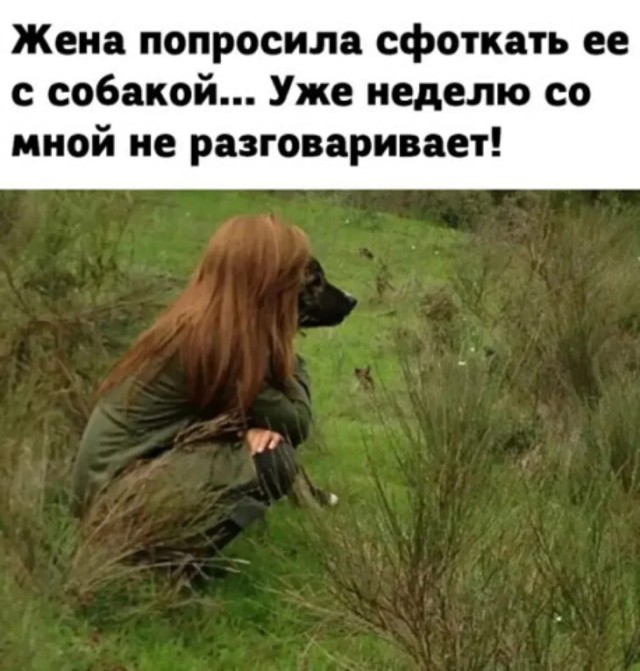 Веселые картинки в пятницу (20.02)