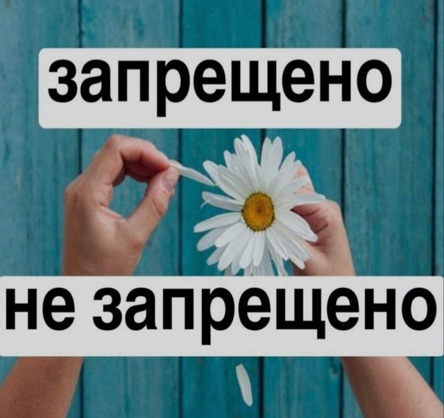 Так себе картинки 03.04.26
