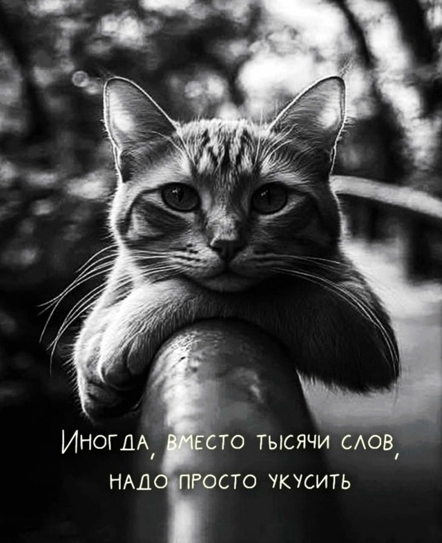 Так себе картинки 12.05.26