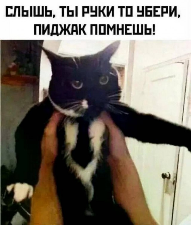 Картинки для деградации 226 (разной степени свежести)