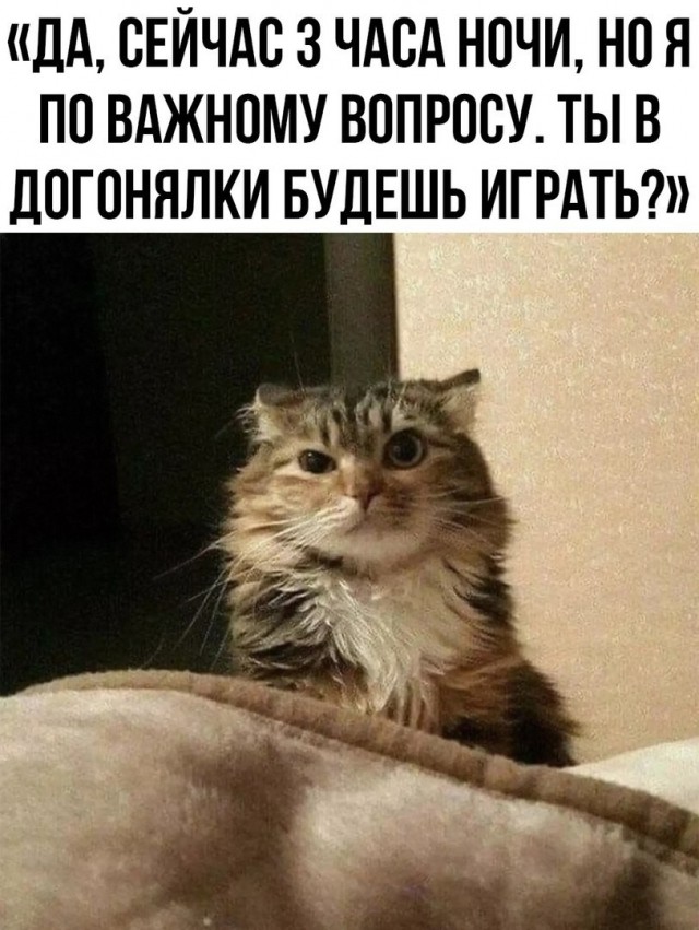Веселые картинки в пятницу (10.07)
