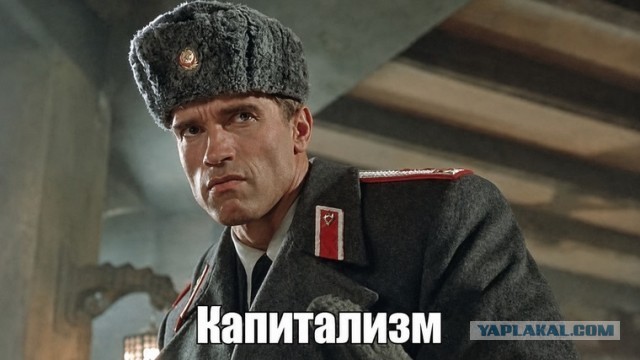 Ночная бабочка "стройные ножки"