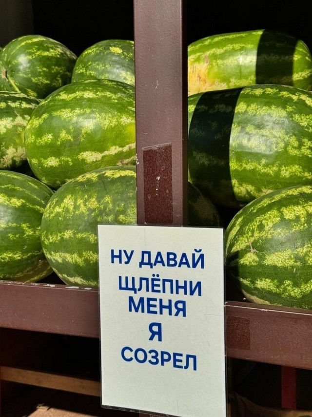Так себе картинки 14.08.26