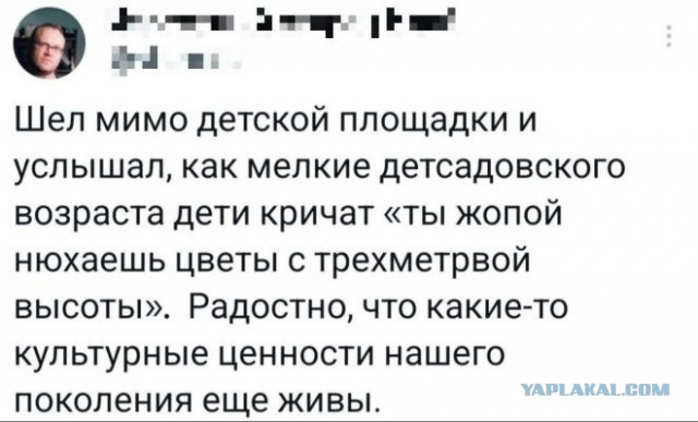 Забавные картинки, шутки из этих ваших интернетов