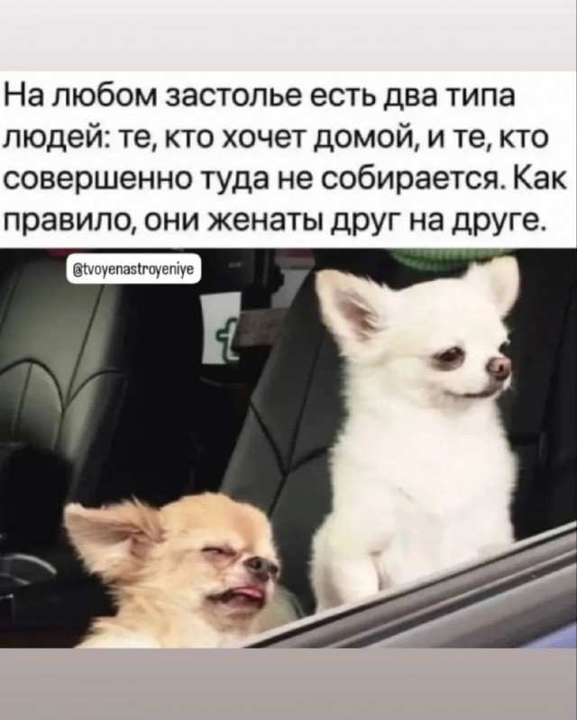Аккордеоны