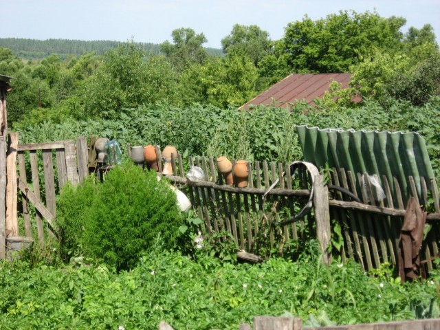 Поездка на Тамбовщину