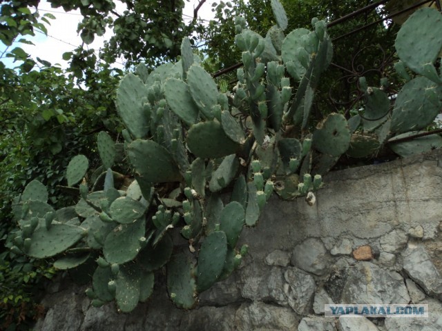 Крым: Судак и окрестности