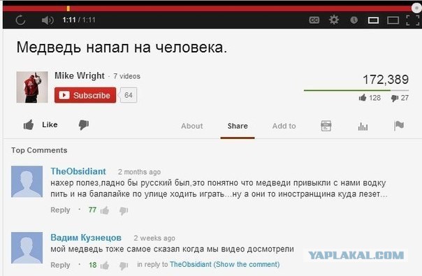 Медведь напал на человека