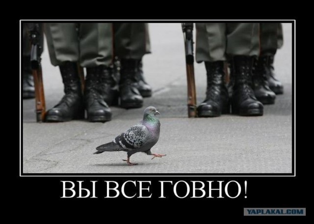 Демотиваторы