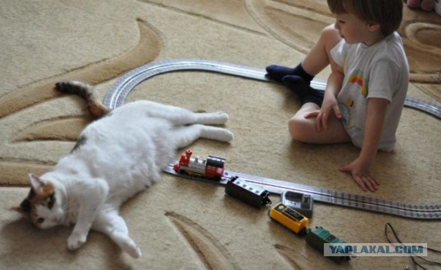 Мобилизация диванных войск РФ