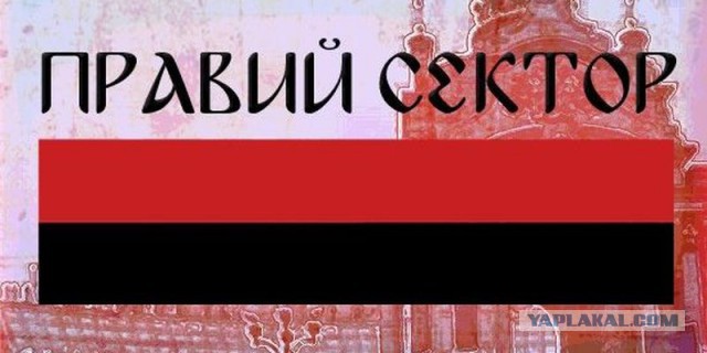 Видео с передовой. Наступление ополченцев