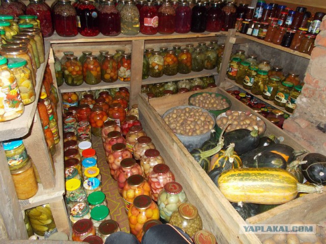 Продовольственная безопасность