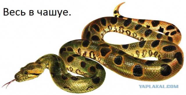 Иногда ошибки просто с ума сводят