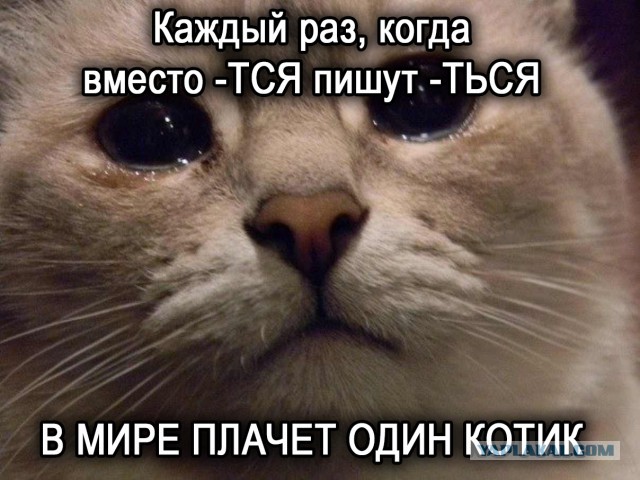 Нибиру существует!  70 тысяч лет назад люди видели