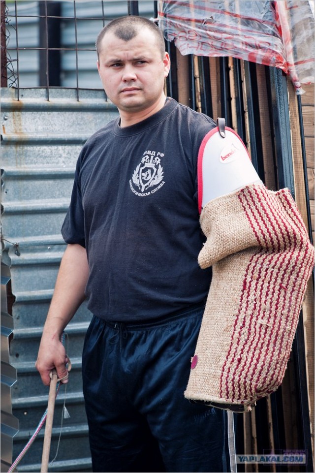 Центр кинологической службы Упр-ния на транспорте