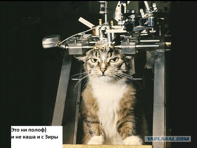 Готовим на даче. Сырне было.