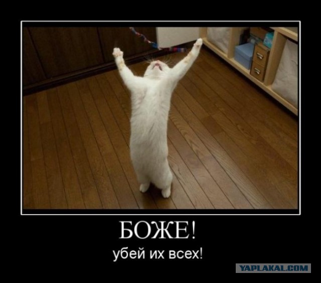 Россиян призвали не завидовать астрономическим зарплатам чиновников и депутатов