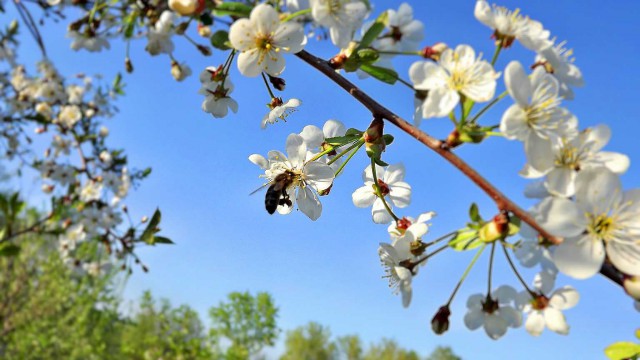 Подборка "тёплых, уютных, домашних" фотографий. Часть 2