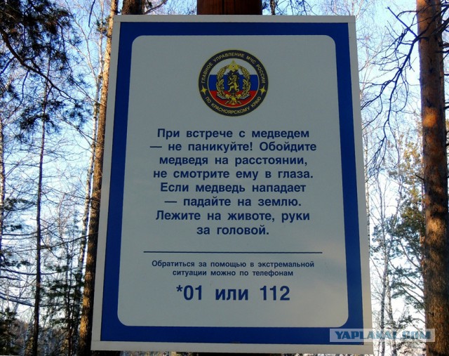 Нападения животных на людей