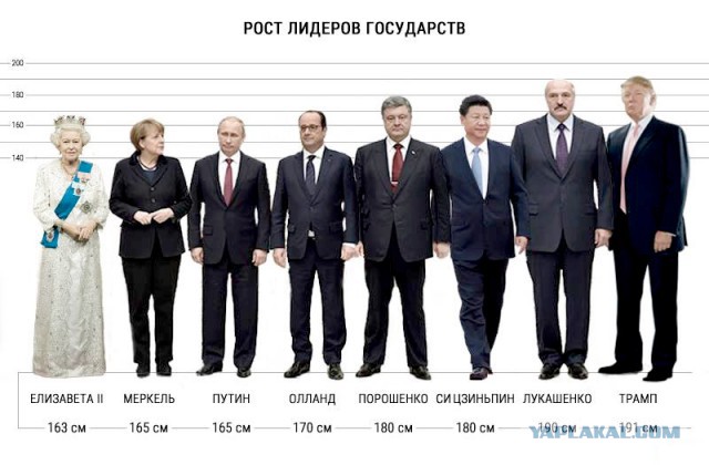 Подборка картинок
