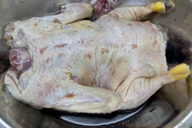 International одной книги., В память о Дженибеке.