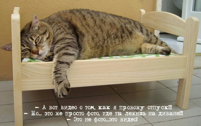 Вдруг война, а я уставший? Или "лентяи 80-го уровня"