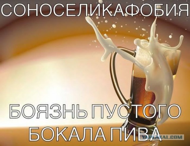 Алкогольный юмор 18+