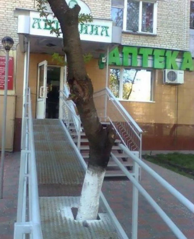 Подборка безудержного веселья