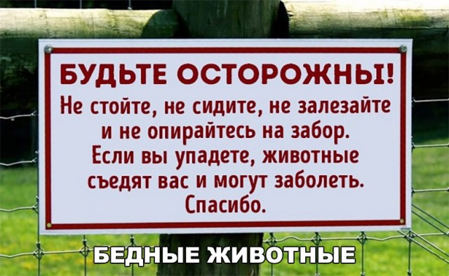 100 картинок для поднятия настроения!