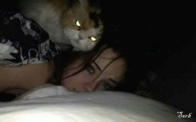 Котэ и кровать