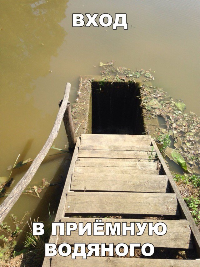 Нестандартный юмор