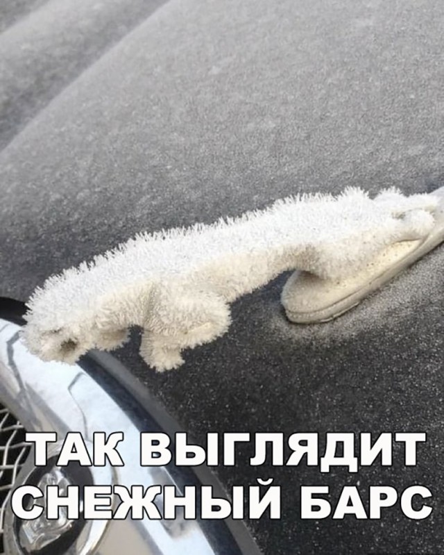 Нестандартный юмор