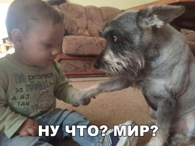Нестандартный юмор