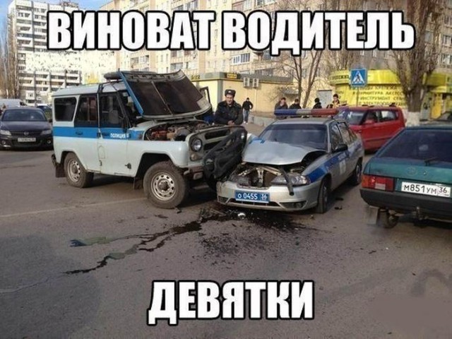 Прикольные картинки