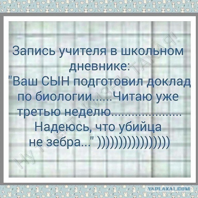 Подборка интересных и веселых картинок 19.08.19