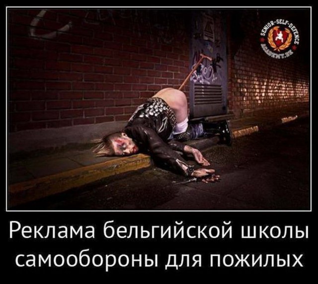 Пикчерз (Картинкас) Лучшая самка и парк весёлых приключений!