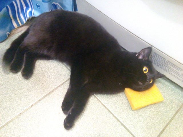 Paзнoвиднocти тьмы