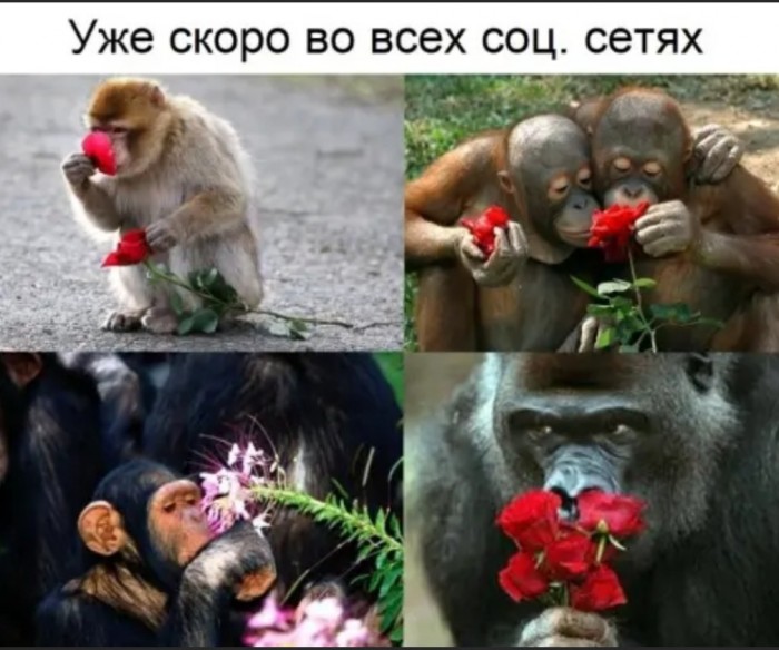 Бредзона 06.03.2020